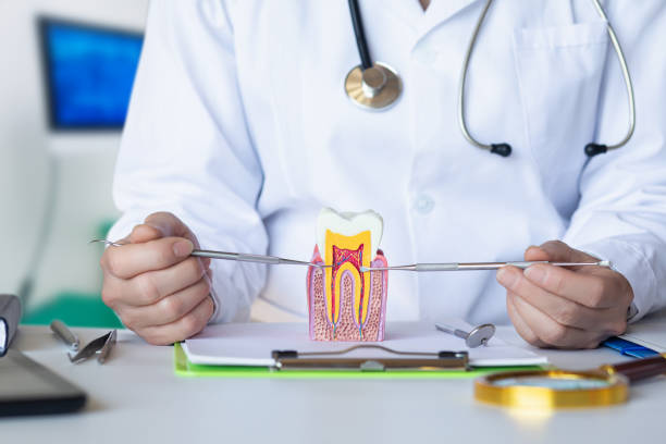 Best Emergency Dental Services for Seniors in Port Arthur, TX